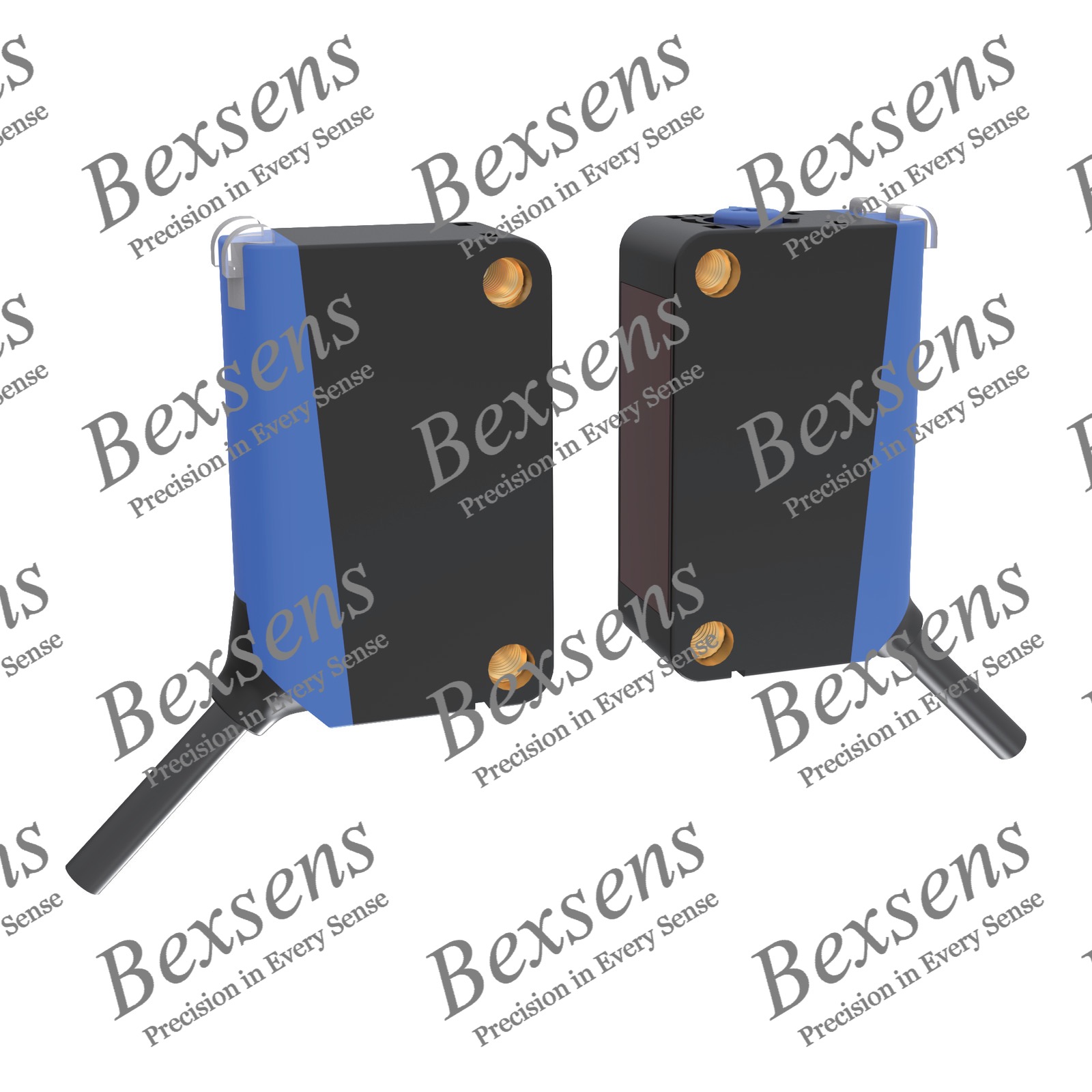 BFTP-R31-P31L1500-PC2-LD